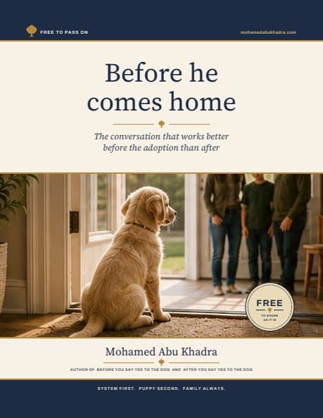 Cover of the free pack: Before he comes home